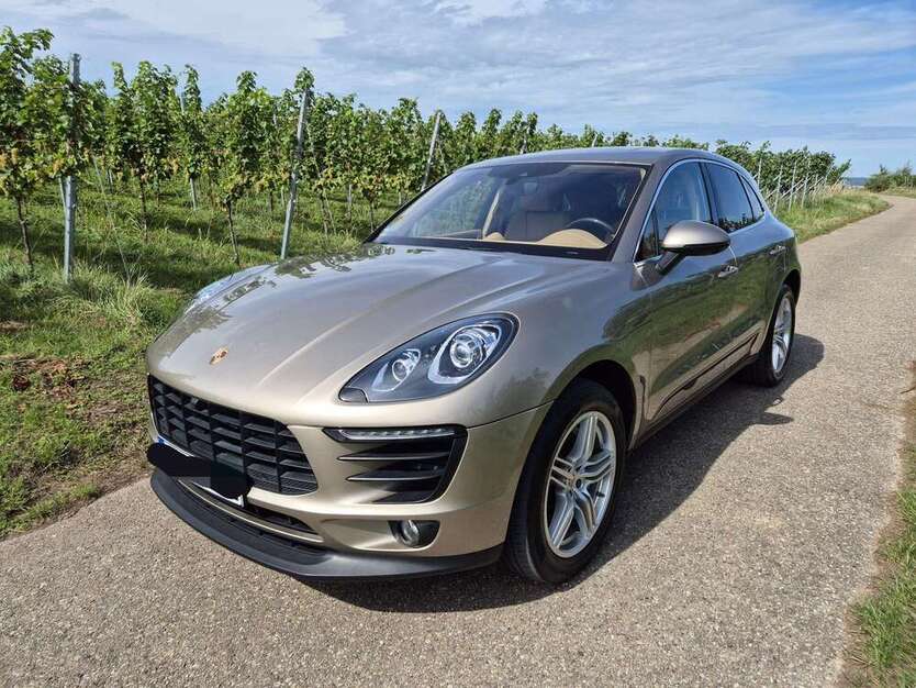 Macan