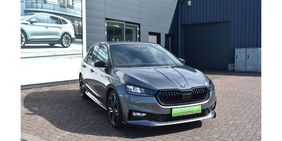 Skoda Fabia 5.000 km 29.990 &euro; Aschersleben 06449