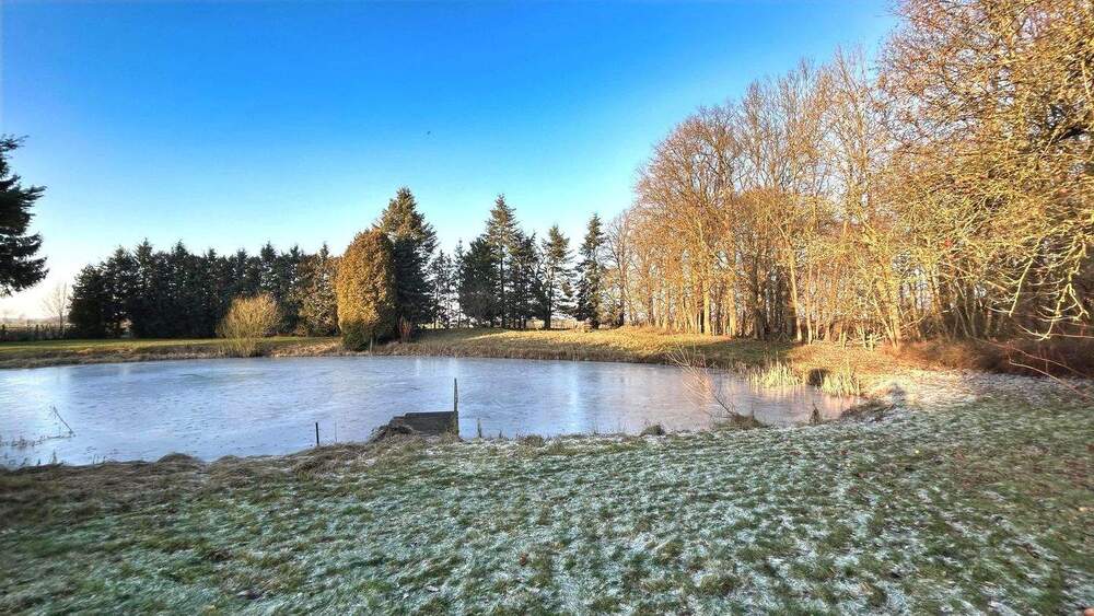 Doppelhaushälfte Gottesgabe Klein Welzin - 6 Zimmer, 160 m&sup2;, 219.000&euro; | Angebot:25670085