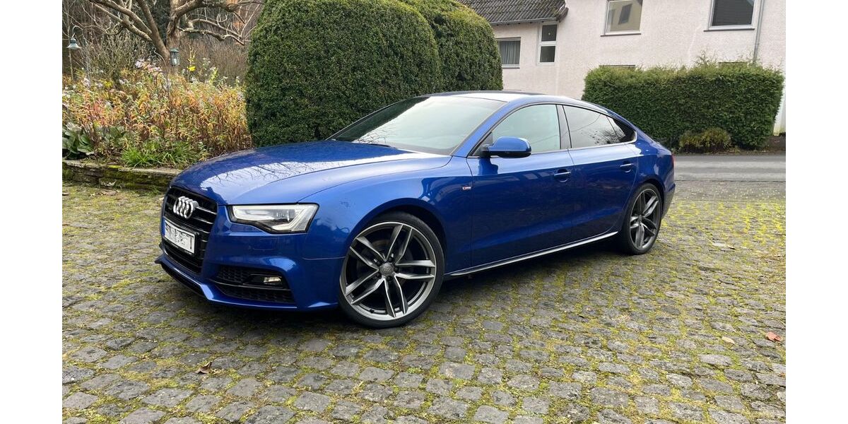 Audi A5 133.271 km 19.950 &euro; Daun 54550
