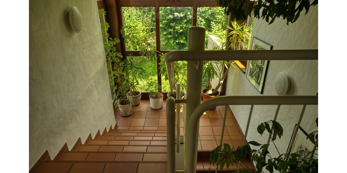 Natur pur! Außergewöhnliches Architektenhaus in traumhafter Lage und mit Einliegerwohnung - Einfamilienhaus Schmelz | Angebot:27010420