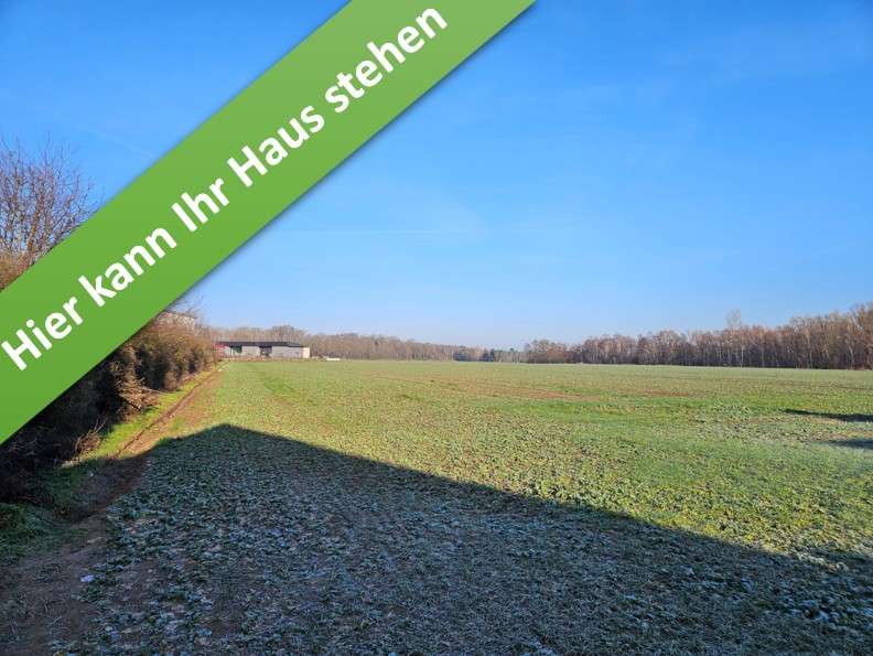 Einfamilienhaus Velpke - 5 Zimmer, 119 m&sup2;, 355.450&euro; | Angebot:26915060