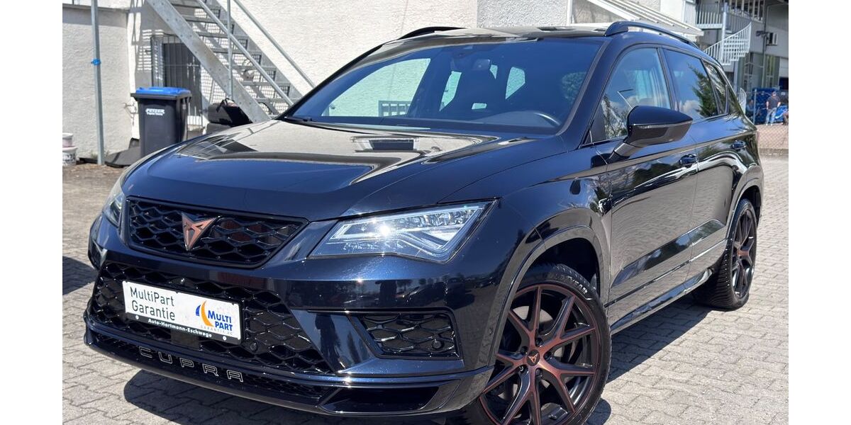 Cupra Ateca 113.000 km 21.999 &euro; Göppingen 73037