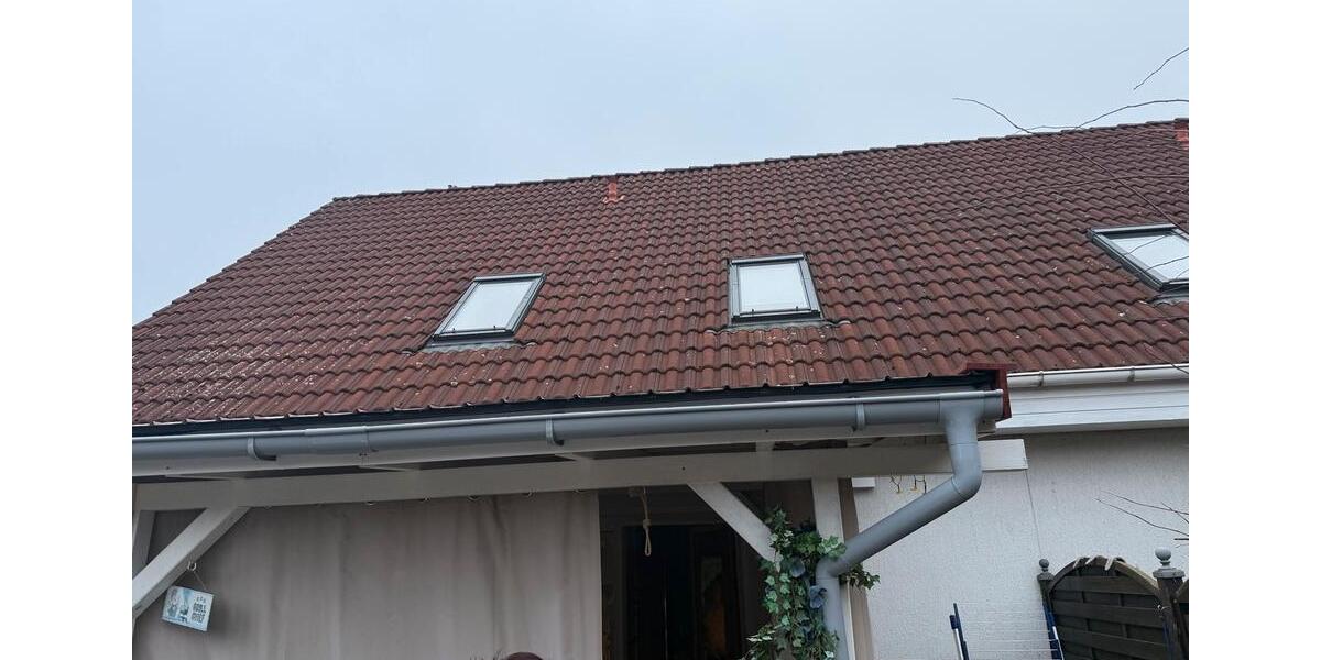 Doppelhaushälfte Eicklingen - 4 Zimmer, 105 m&sup2;, 235.000&euro; | Angebot:26423962