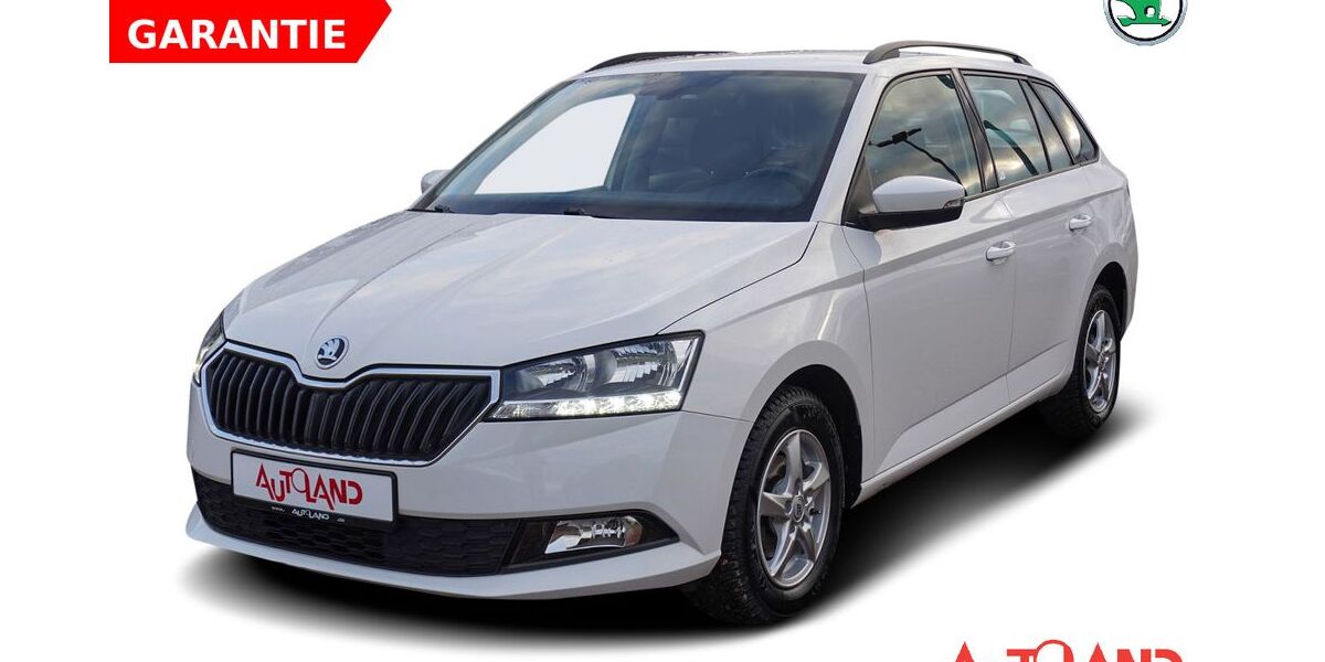 Skoda Fabia 112.521 km 11.990 &euro; Naumburg OT Schönburg 06618