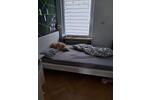 Etagenwohnung Holzwickede - 4 Zimmer, 76 m&sup2;, 770&euro; | Angebot:26278521