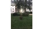 Etagenwohnung Bad Homburg Berliner Siedlung/Gartenfeld - 3 Zimmer, 74 m&sup2;, 320.000&euro; | Angebot:26840025