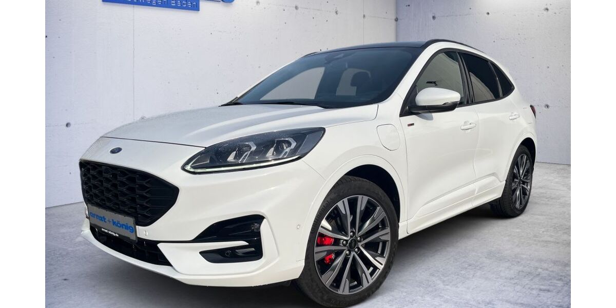Ford Kuga 48.461 km 26.470 &euro; Waldshut-Tiengen 79761