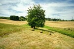 Natur pur! Außergewöhnliches Architektenhaus in traumhafter Lage und mit Einliegerwohnung - Einfamilienhaus Schmelz | Angebot:27010420