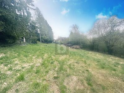 FREIZEITGRUNDSTÜCK AM NATURSCHUTZGEBIET - Grundstück Calw | Angebot:25361183