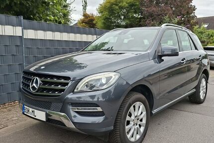 Mercedes-Benz ML 250 299.000 km 11.500 &euro; Isselburg 46419