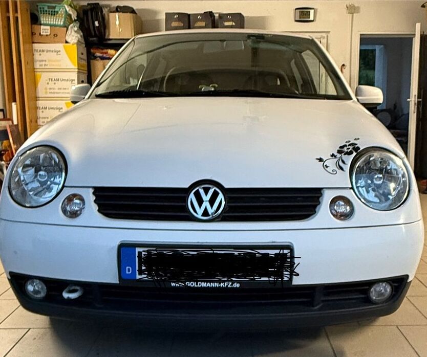 Lupo