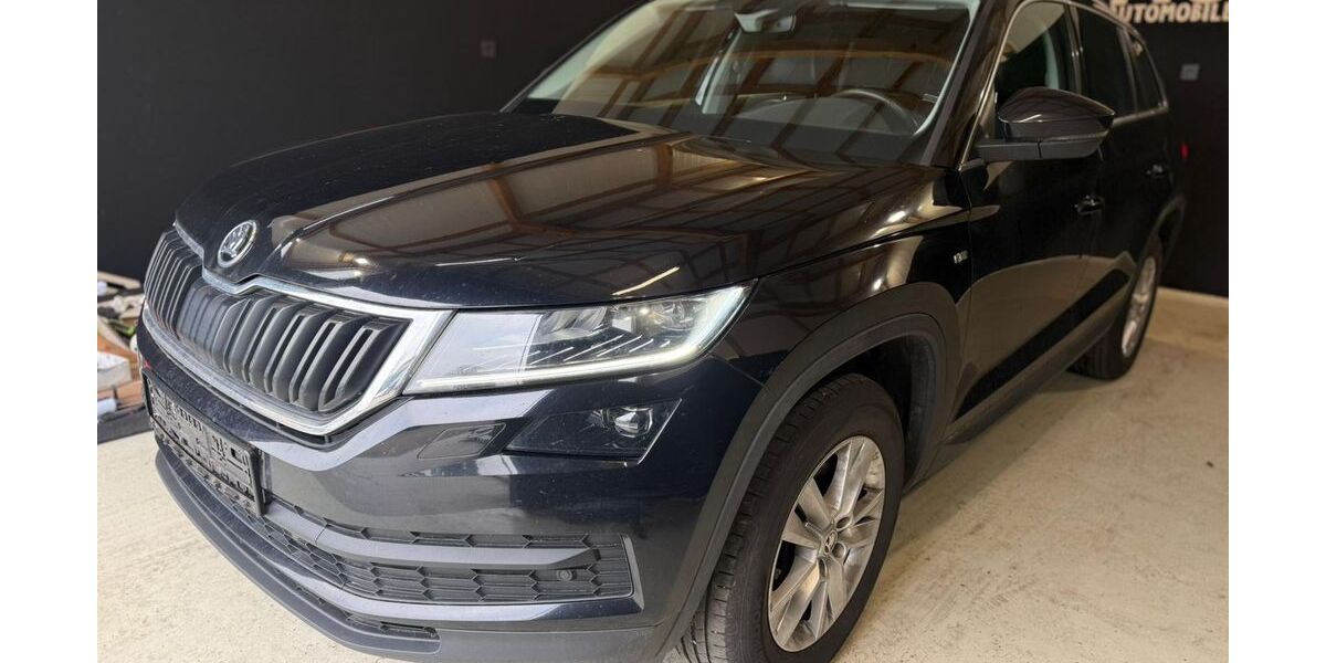 Skoda Kodiaq 188.000 km 19.278 &euro; Heidelberg 69123