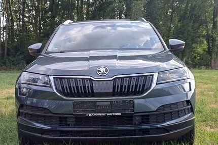 Skoda Karoq 99.513 km 18.899 &euro; Hamm 59069