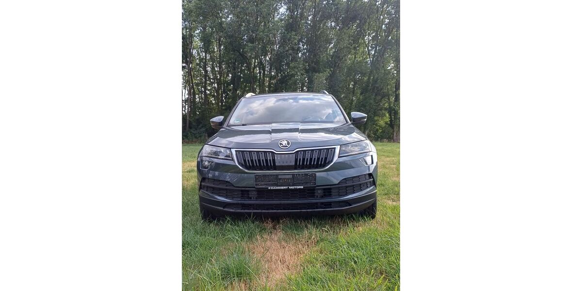 Skoda Karoq 99.513 km 18.899 &euro; Hamm 59069