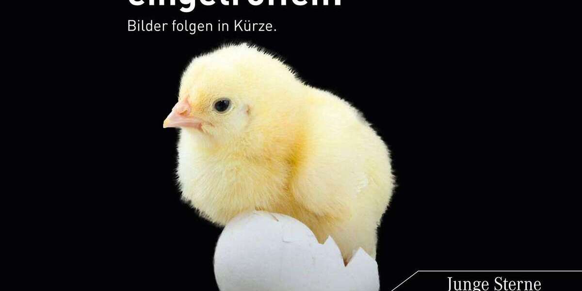 Mercedes-Benz GLE 63 AMG 59.899 km 97.980 &euro; Kempten (Allgäu) 87435