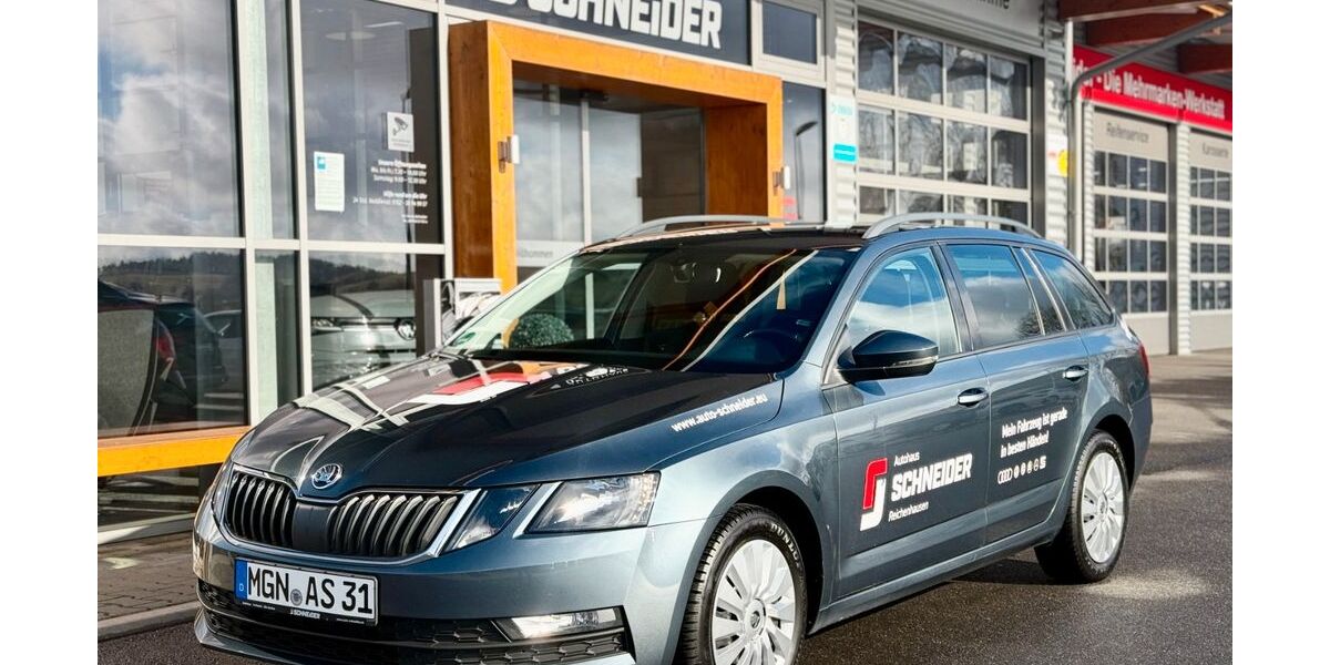 Skoda Octavia 206.000 km 9.720 &euro; Erbenhausen OT Reichenhausen 98634