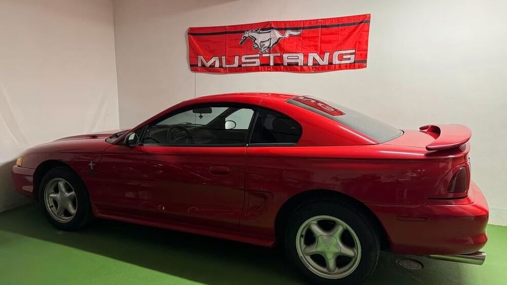 Mustang