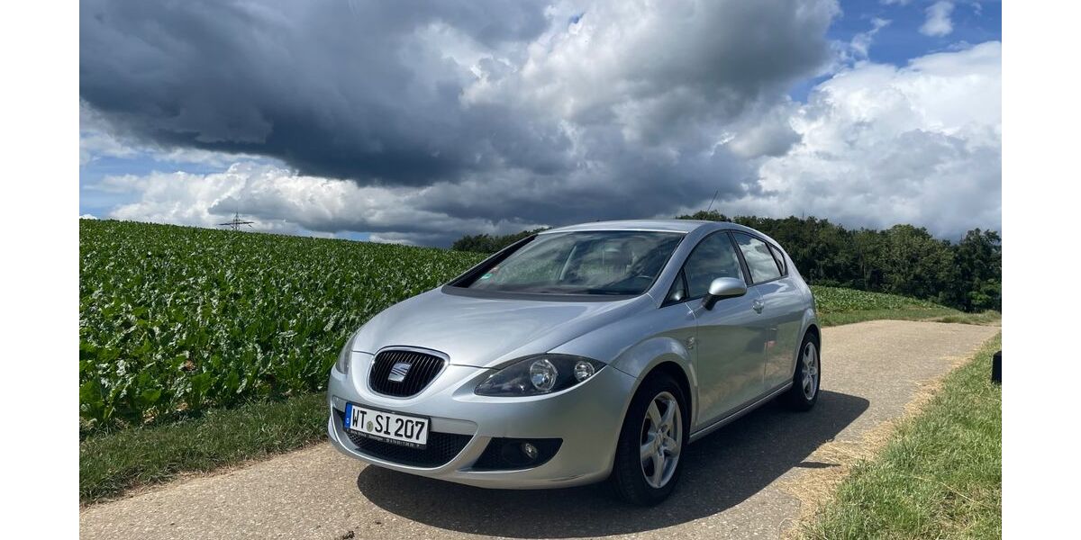 Seat Leon 110.000 km 5.900 &euro; Eggingen 79805