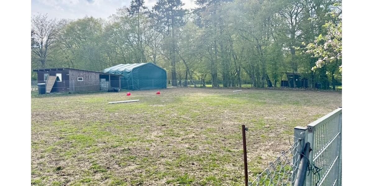 HORN IMMOBILIEN ++ Haus mit Doppelgarage und Nebengebäude in Wodarg bei Altentreptow, ruhige Lage - Einfamilienhaus Werder OT Wodarg Wodarg | Angebot:26875433