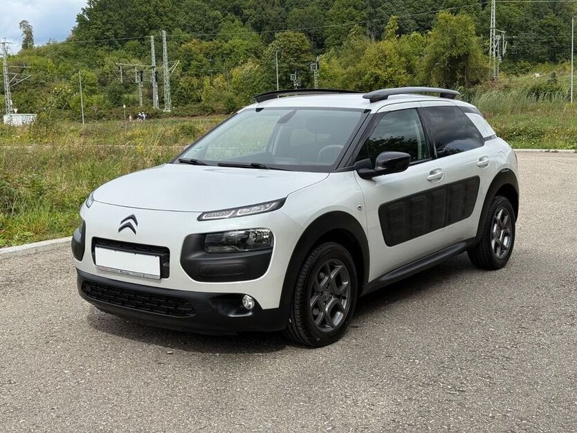 C4 Cactus