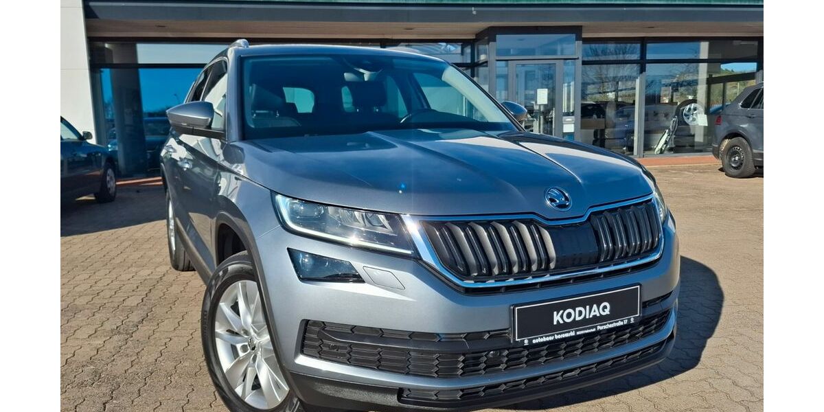 Skoda Kodiaq 99.960 km 26.400 &euro; Helmstedt 38350