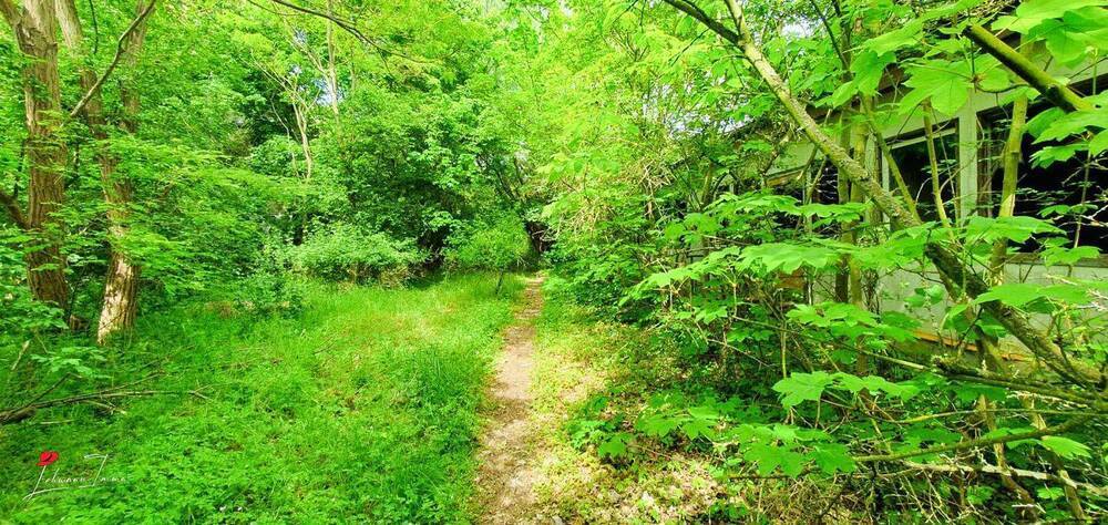 Lost Places & Naturidyll, perfekte Lage für Ferienunterkünfte!