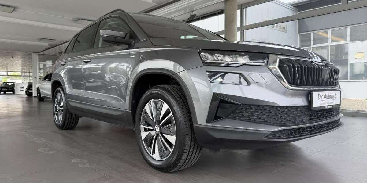 Skoda Karoq 137.990 km 23.980 &euro; Rheinfelden 79618