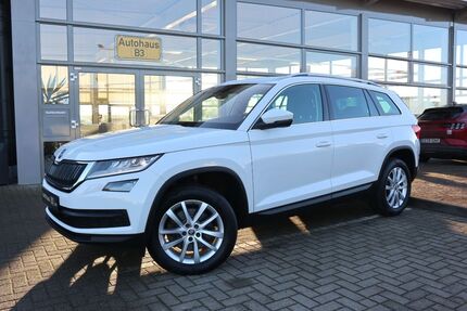 Skoda Kodiaq 220.420 km 17.490 &euro; Bergen 29303