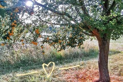 Wohnung Forst - 5 Zimmer, 112 m&sup2;, 950&euro; | Angebot:24395804