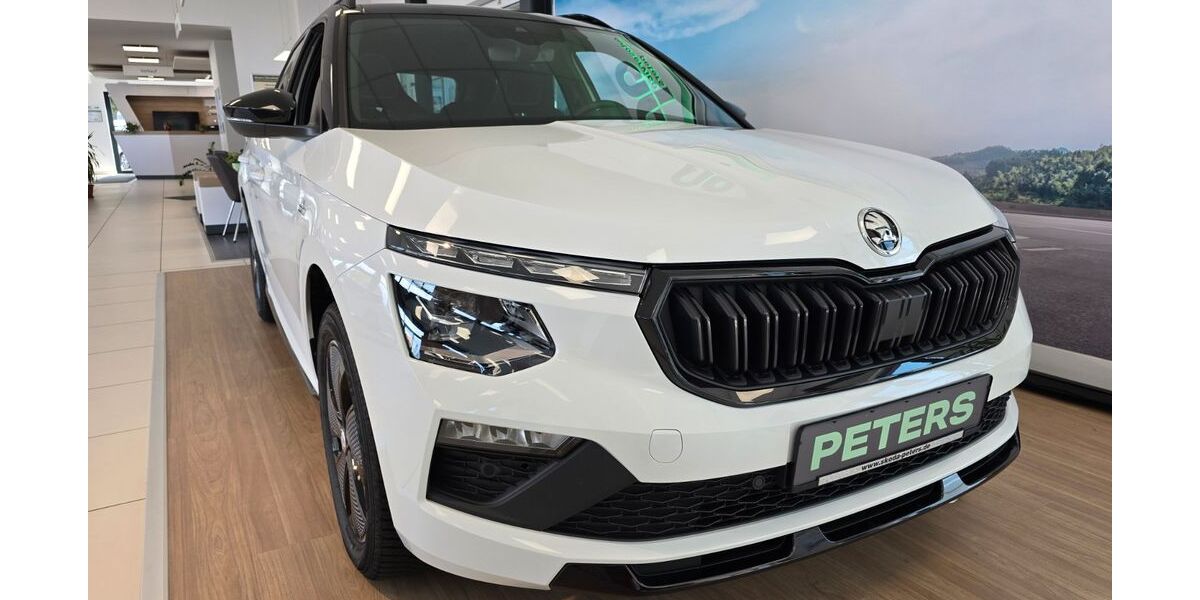 Skoda Kamiq 25.000 km 28.000 &euro; Barth 18356