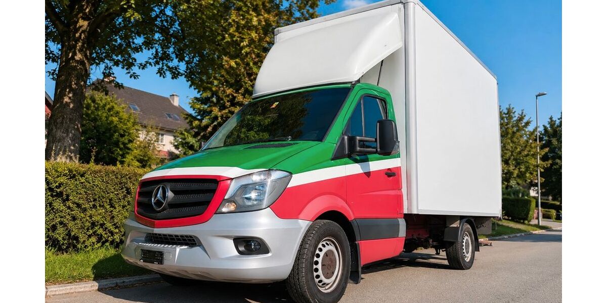 Mercedes-Benz Sprinter 539.000 km 11.470 &euro; Lahr 77933