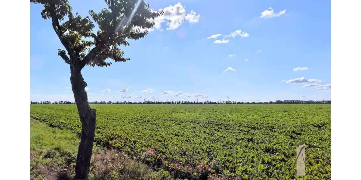 Grundstück Rottmersleben Rottmersleben - 106.125&euro; | Angebot:22400520