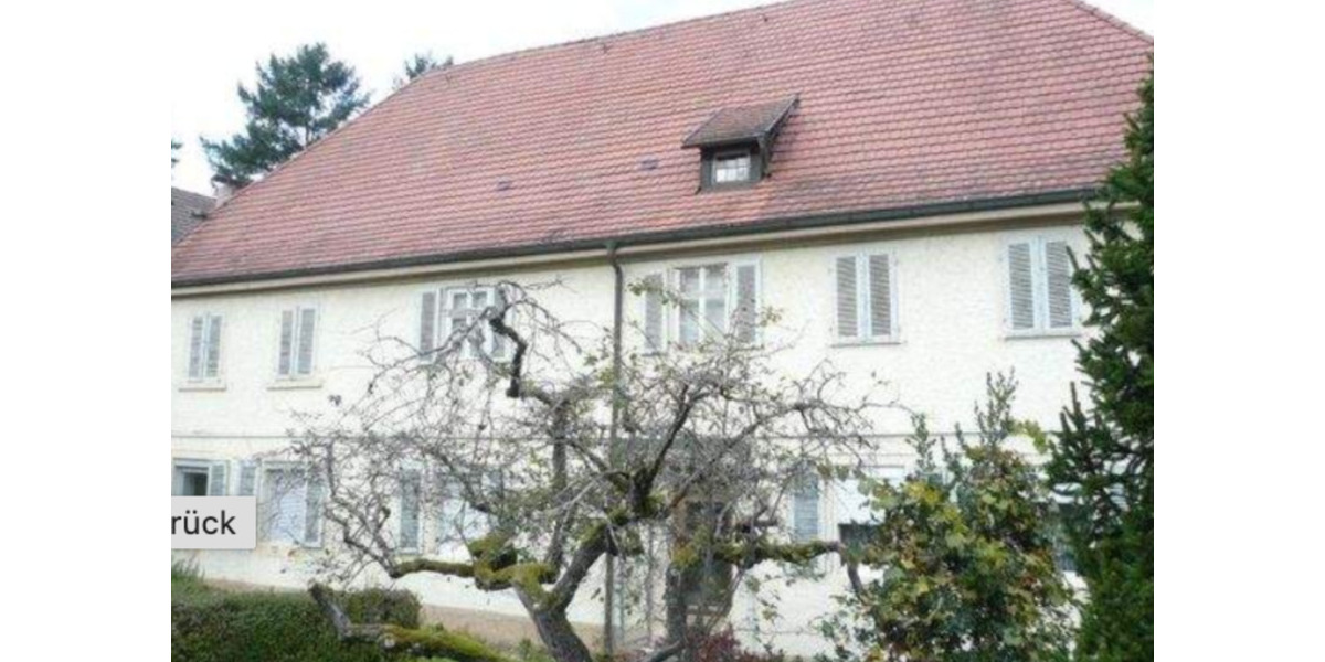 Historisches, teilrenoviertes Mehrfamilienhaus in 76593 Gernsbach 12 zimmer
