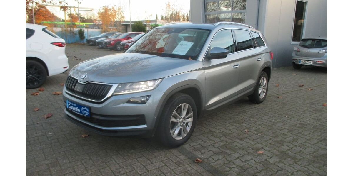 Skoda Kodiaq 116.899 km 22.222 &euro; Hollenstedt 21279