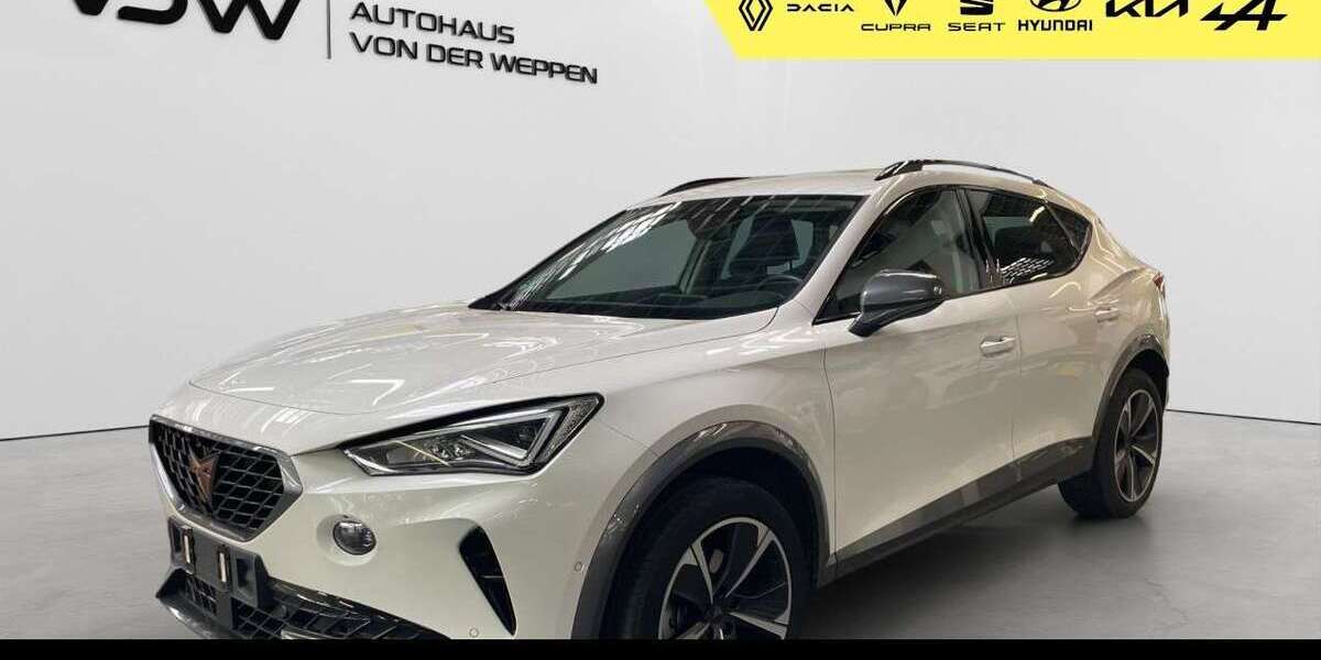 Cupra Formentor 17.300 km 27.380 &euro; Heilbronn 74076