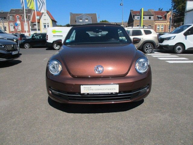 Beetle