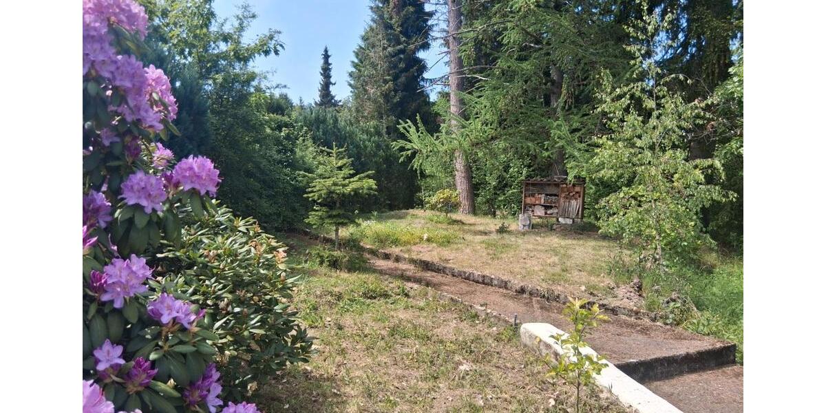Erdgeschoßwohnung Hellenthal - 4 Zimmer, 120 m&sup2;, 900&euro; | Angebot:26502617