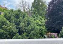 Wohnung zum Mieten in Krefeld 620 € 72 m²