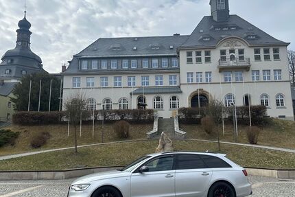 Audi A6 251.500 km 13.999 &euro; Zwota 08267