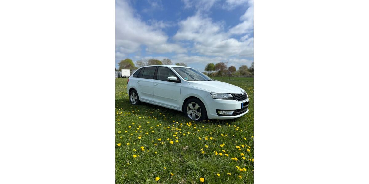 Skoda Rapid 170.000 km 7.050 &euro; Bleckede 21354