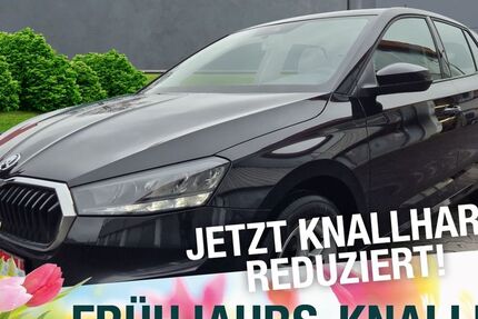 Skoda Fabia 52.578 km 15.870 &euro; Marktredwitz 95615