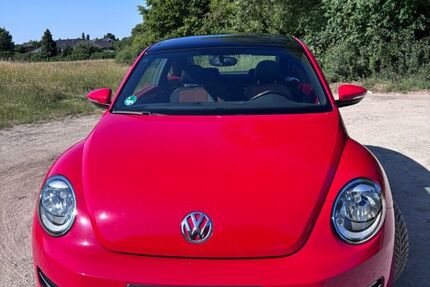 VW Beetle