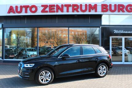 Audi Q5 119.812 km 31.300 &euro; Burg 39288