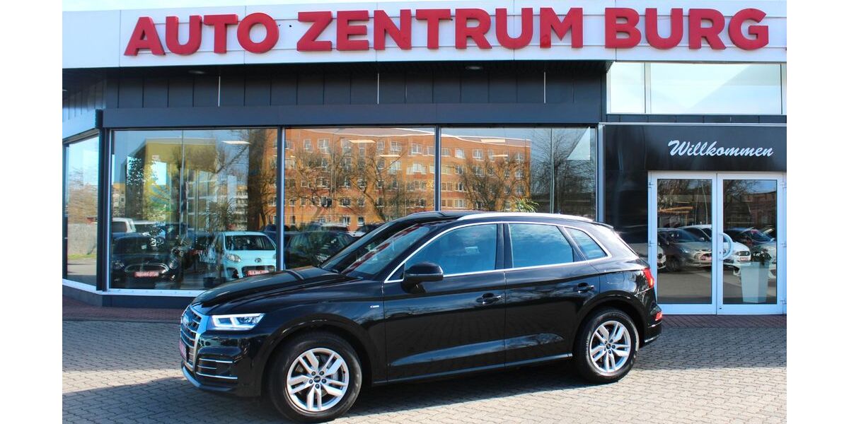 Audi Q5 119.812 km 31.300 &euro; Burg 39288