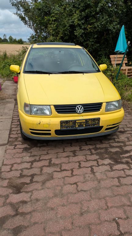 Polo