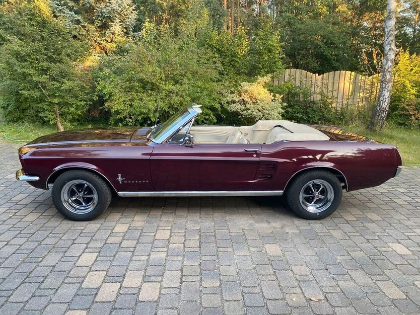 Mustang