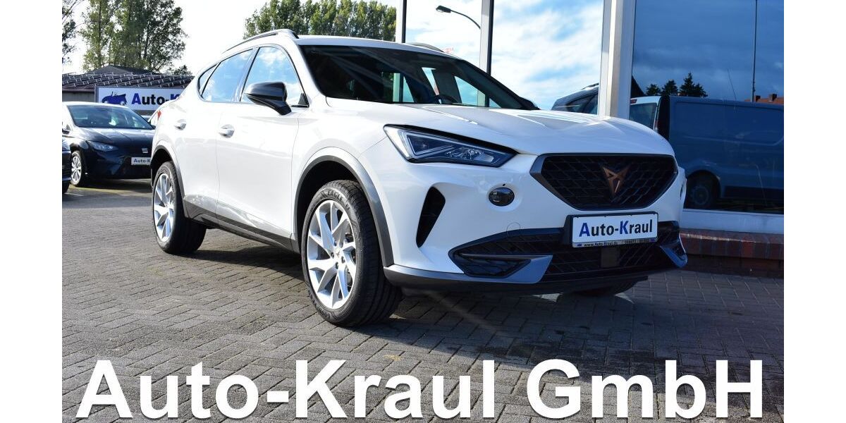 Cupra Formentor 39.081 km 23.949 &euro; Rehna 19217