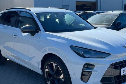 Cupra Terramar 10.000 km 32.950 &euro; Burghaun 36151