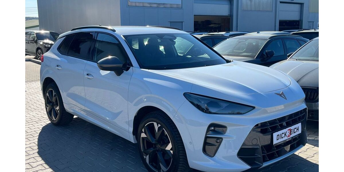 Cupra Terramar 10.000 km 32.950 &euro; Burghaun 36151